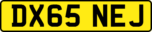DX65NEJ