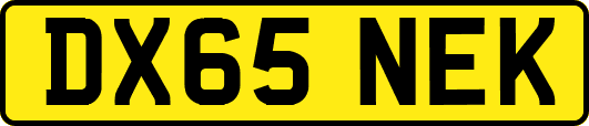 DX65NEK