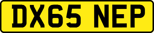 DX65NEP