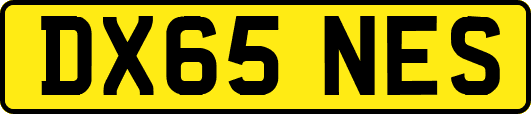 DX65NES