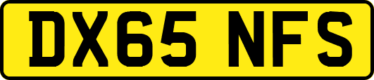 DX65NFS