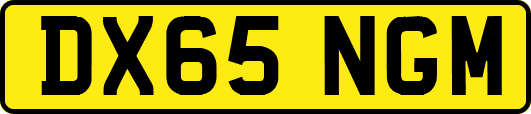 DX65NGM