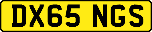 DX65NGS