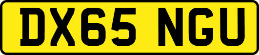 DX65NGU