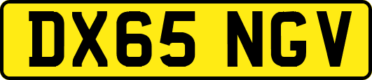 DX65NGV