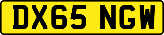 DX65NGW