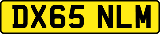 DX65NLM
