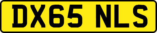 DX65NLS