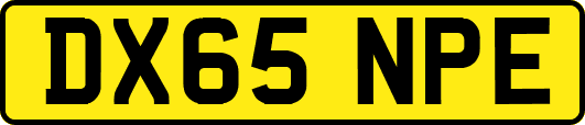 DX65NPE