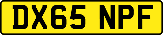 DX65NPF
