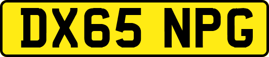DX65NPG