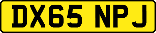 DX65NPJ