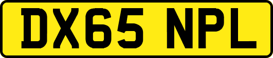 DX65NPL