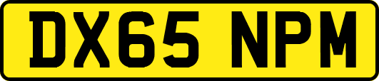 DX65NPM