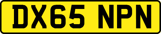 DX65NPN