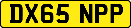 DX65NPP
