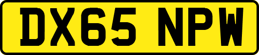 DX65NPW