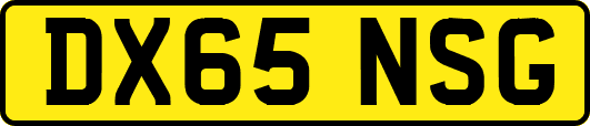 DX65NSG