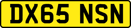 DX65NSN