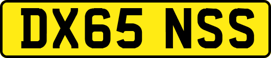 DX65NSS