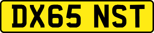 DX65NST