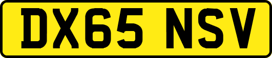 DX65NSV