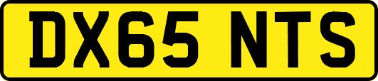 DX65NTS