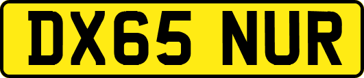 DX65NUR