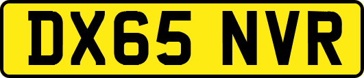 DX65NVR