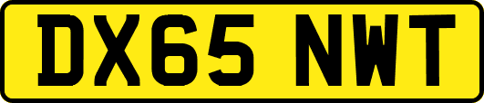 DX65NWT