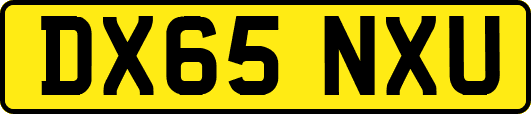 DX65NXU