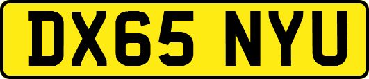 DX65NYU