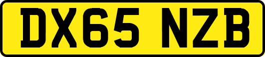 DX65NZB