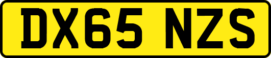 DX65NZS