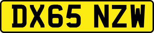DX65NZW