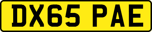 DX65PAE