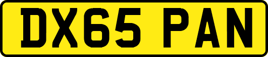 DX65PAN