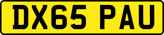 DX65PAU