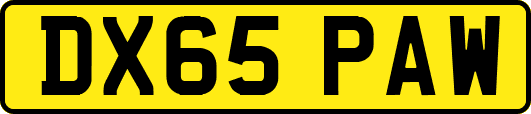 DX65PAW