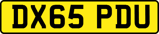 DX65PDU