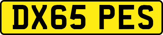 DX65PES