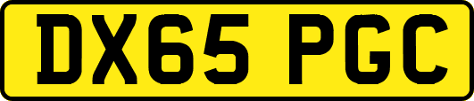 DX65PGC