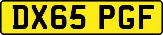 DX65PGF
