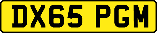 DX65PGM