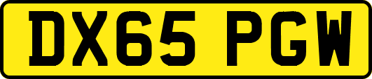 DX65PGW