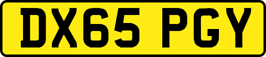 DX65PGY