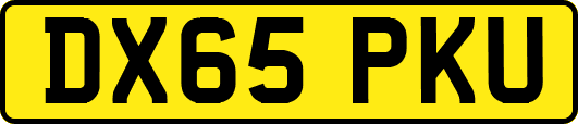 DX65PKU