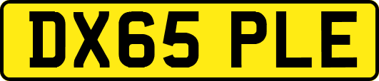 DX65PLE