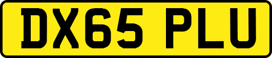 DX65PLU