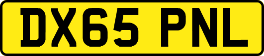 DX65PNL